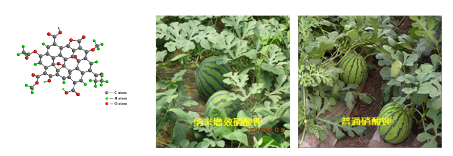 1523242189346758.png 1523242189346758.png